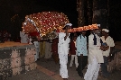 Palkhi